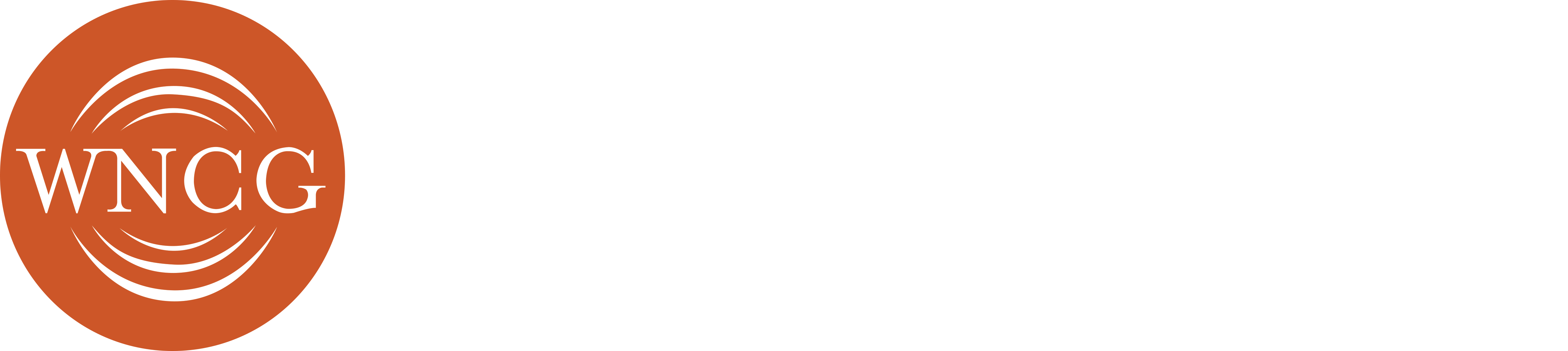 Wireless and Networking Communications Group